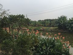 -黄埔古港