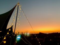 -春花秋色城市公园