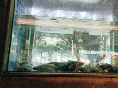 -客家汇·客家传承菜(水库店)