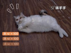 点击看大图 -小齐发型Star~salon