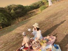 -艾溪湖湿地公园