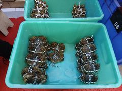 -蟹天蟹地农家菜·阳澄湖大闸蟹(浅水湾店)