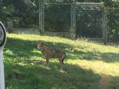 -西安秦岭野生动物园