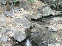 android_upload_pic-十渡东湖港风景区