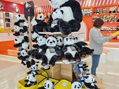 -熊猫邮局(少城店)