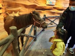 -酷嗒动物文化乐园(cutezoo西溪乐天城店)