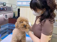 -美联众合动物医院·24h转诊中心