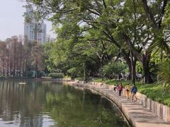 -晓港公园