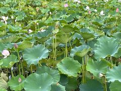 -东坡赤壁风景名胜区