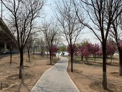 -永定河休闲森林公园