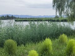 -野鸭湖国家湿地公园