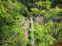 -王毛龙千层饼(蒋氏故居店)