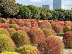 -世纪公园-世纪春沁园