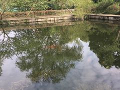 -西湖外事游船(花港观鱼码头)