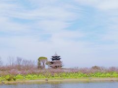 -上海海湾国家森林公园