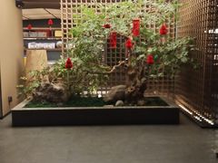 -船歌·鱼水饺青岛菜(闽江二路店)