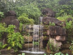 -广州神农草堂中医药博物馆