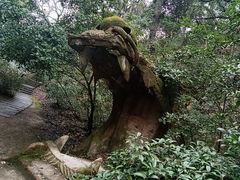 -杭州黄龙洞