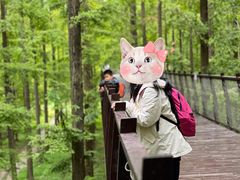 -黄海国家森林公园