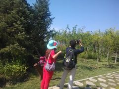 -武清南湖绿博园