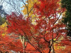 -狼山风景名胜区