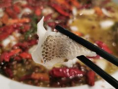 -姚姚酸菜鱼·金戈戈香港豉油鸡(喜荟城联名店)