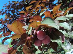 -幕燕滨江·长江观音景区