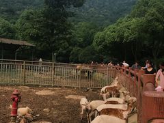 -无锡动物园·太湖欢乐园