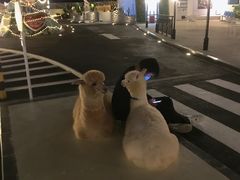 -Blue Concept Cafe&Farm·關於藍
