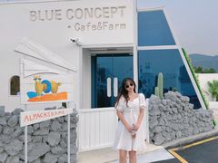 -Blue Concept Cafe&Farm·關於藍