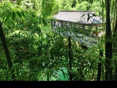 -三峡人家风景区