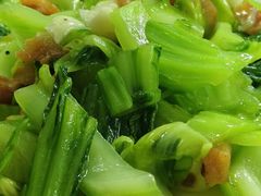 -新陶陶酒家