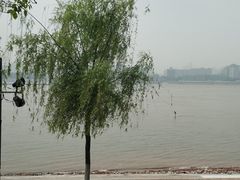 -武昌江滩