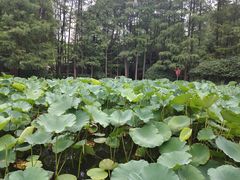 -新航道雅思托福·留学·考研培训(人民广场校区)