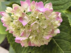 -昱德来·天津菜(河西店)