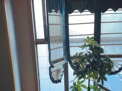 -蒙古人烤羊大师(工农大路创始店)