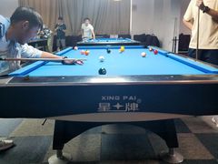 -丁俊晖台球俱乐部(海上海·弘基休闲广场店)