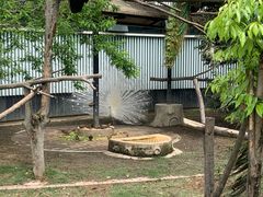 -成都动物园
