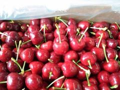 -上海龙吴水胜海发市场