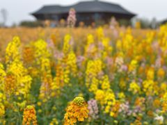 -中国天府农业博览园