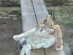 -青藏高原野生动物园