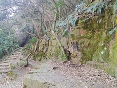 -苏州上方山国家森林公园