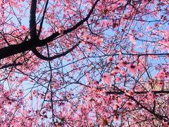 -白塘生态植物园