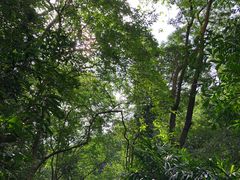 -广州市白云山风景名胜区