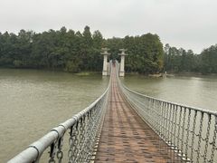 -东湖落雁景区