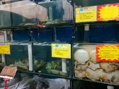 -蚝专家(北滘店)