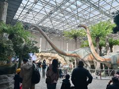 -国家自然博物馆