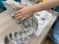 -荔康动物医院(康王北路店)