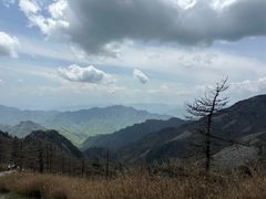 -朱雀国家森林公园