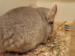 -龙猫仔乐园(惠福东路店)